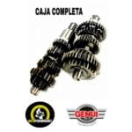 CAJA DE CAMBIOS COMPLETA AKT 125 EVO NE