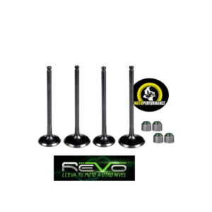 Kit valvulas Pulsar 135